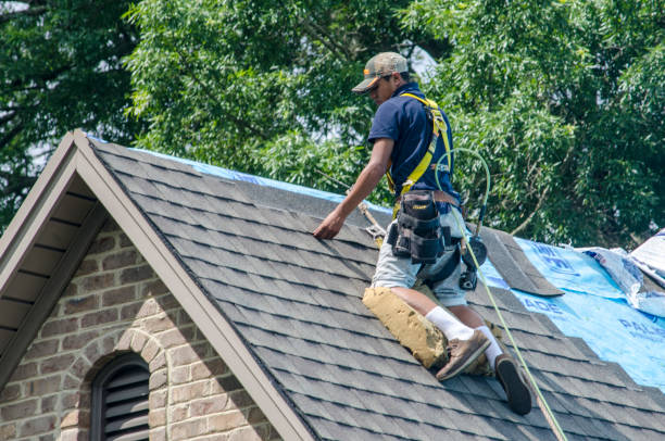 Best Roof Gutter Cleaning  in Flora, IN